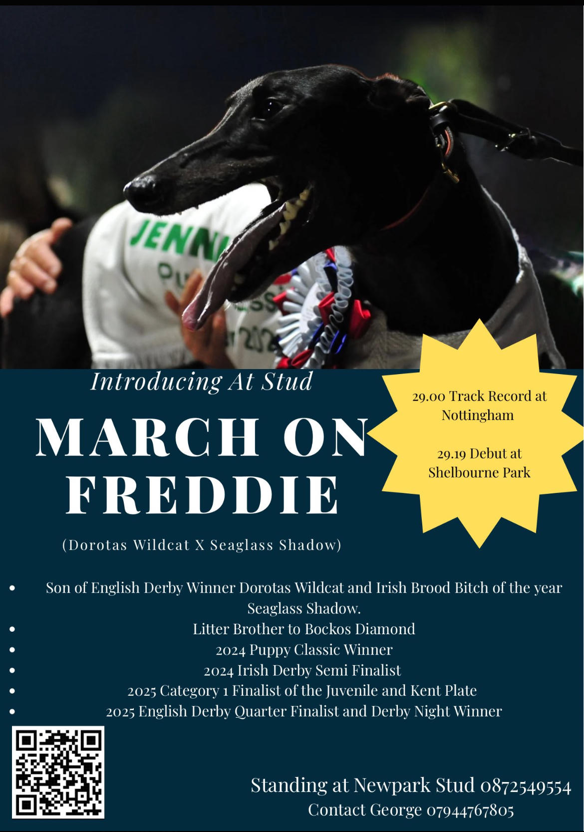 March On Freddie - Introducing At Stud