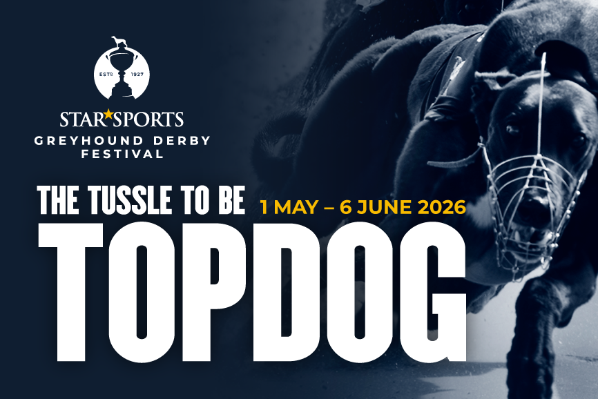 Star Sports Greyhound Derby Festival — Dunstall Park Greyhounds