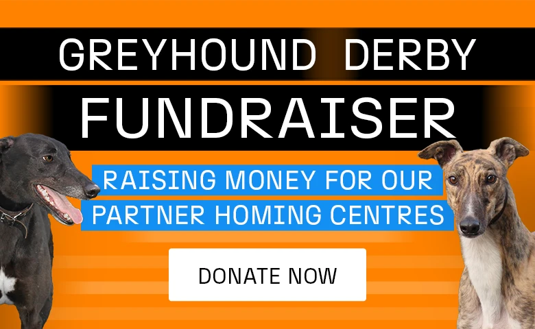 homming banner