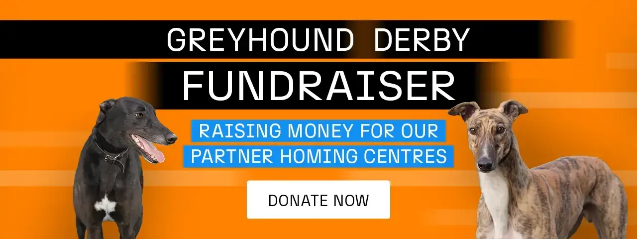 homming banner